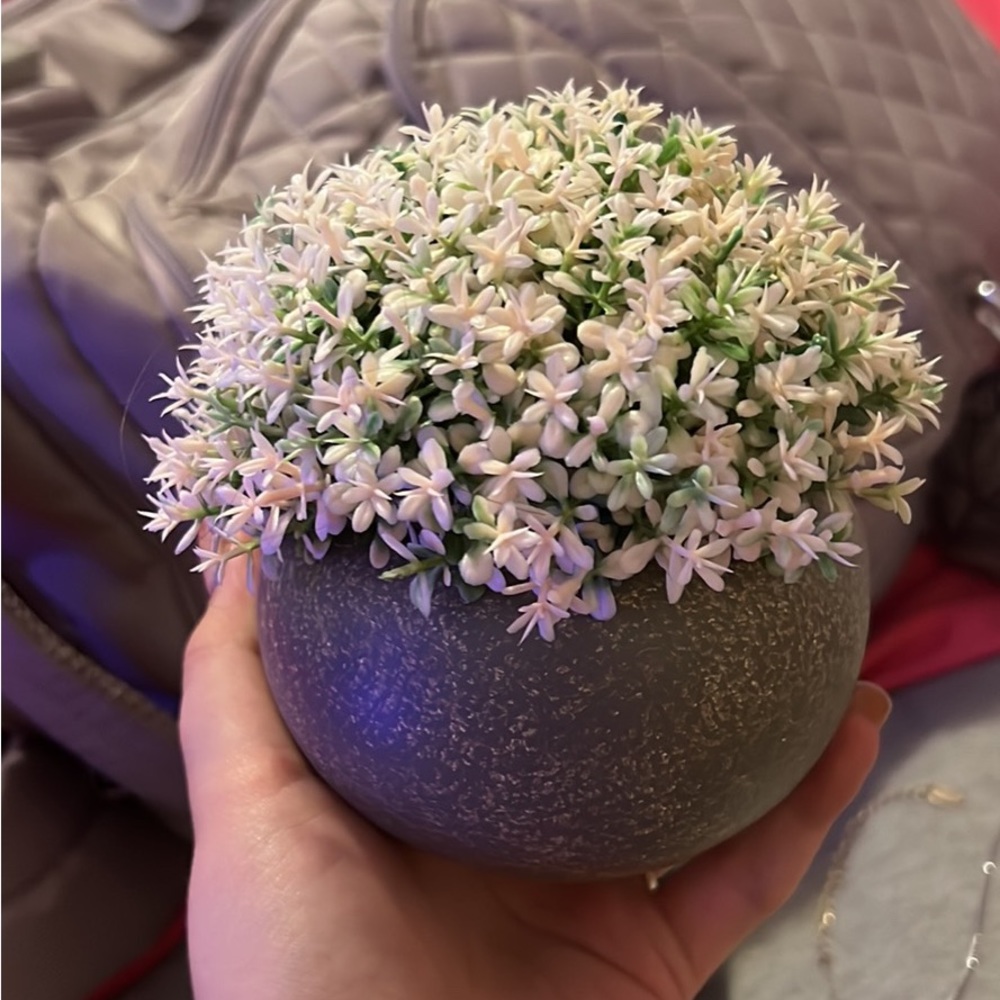 Fake plant